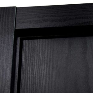 Modern Interior Door HG-008 Black Ash & Molding Frame