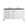 James Martin 305-V60D-GW-3CSP Chicago 60 Inch Glossy White Double Sink Vanity with 3 cm Charcoal Soapstone Top