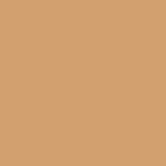 ce9f6f solid color background icolorpalette