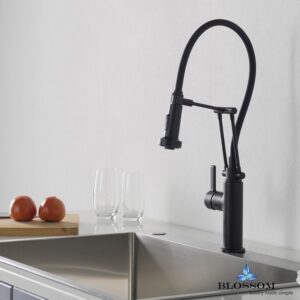 Blossom F01 208 04 Single Handle Pull Down Kitchen Faucet in Matte Black F01 208 04 F0120804