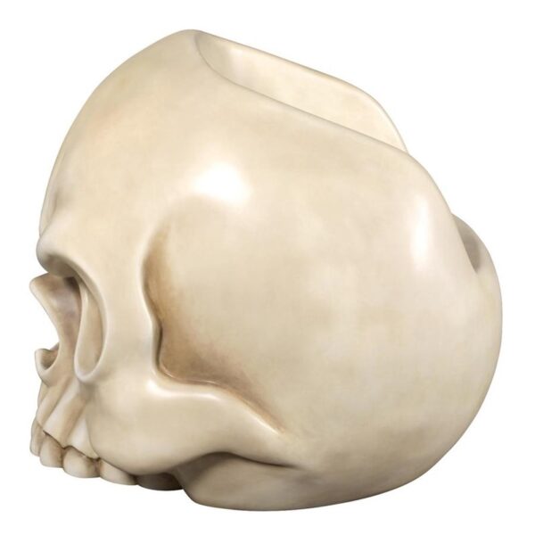 Design Toscano NE1702056 40 Inch Bone Skull Chair