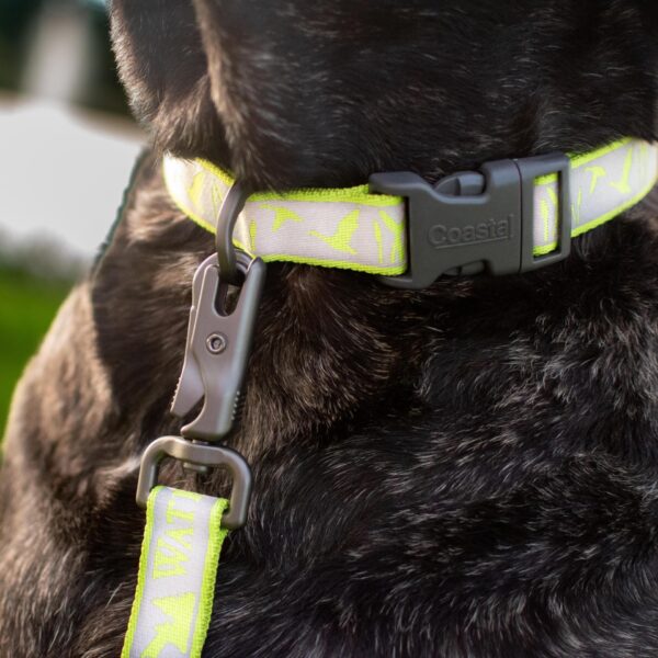 Water & Woods Adjustable Reflective Dog Collar