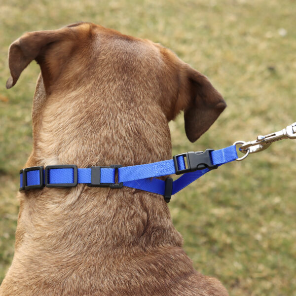 Natural Control Training Collar - Additional Links