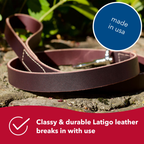 Circle T  Latigo Leather Dog Leash