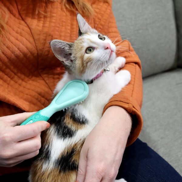 Lil Pals  Kitten Bristle Brush