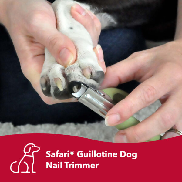 Safari  by Coastal  Guillotine Dog Nail Trimmer