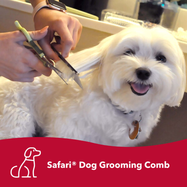 Safari  by Coastal  Dog Grooming Comb for Medium and Coarse Coats