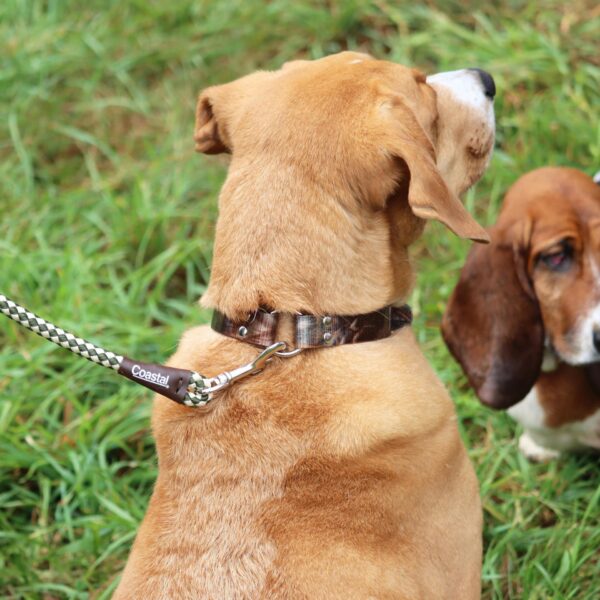 Water & Woods Waterproof Hound Dog Collar with Center Ring