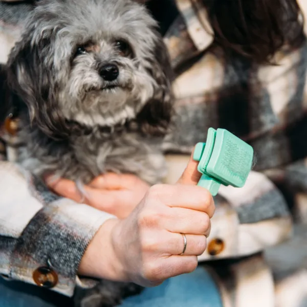 Lil Pals  Self-Cleaning Dog Slicker Brush