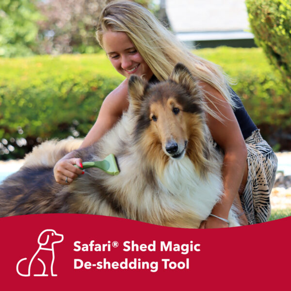 Safari  by Coastal  Shed Magic  De-Shedding Tool for Dogs with Medium to Long Hair
