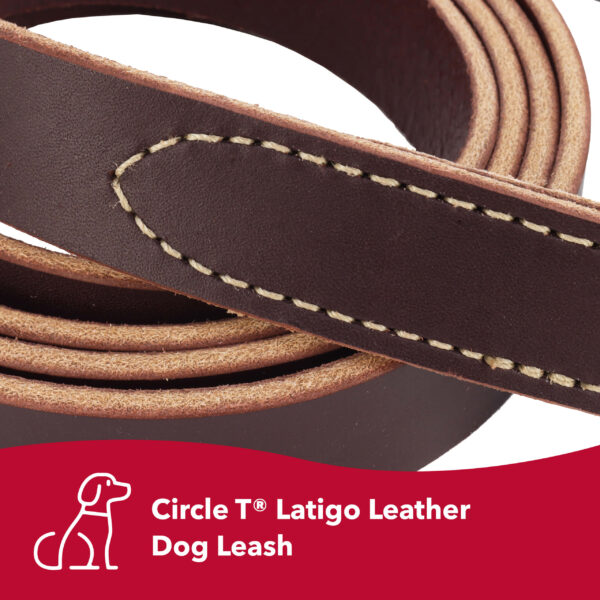 Circle T  Latigo Leather Dog Leash