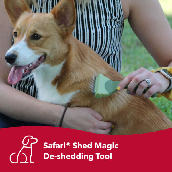 Safari  by Coastal  Shed Magic  De-Shedding Tool for Dogs with Short to Medium Hair