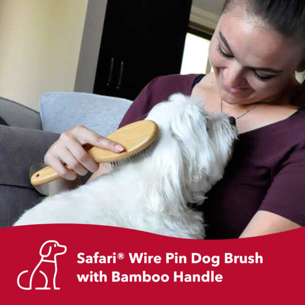 Safari  by Coastal  Wire Pin Dog Brush with Bamboo Handle