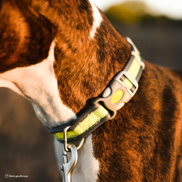 Pro Reflective Adjustable Dog Collar