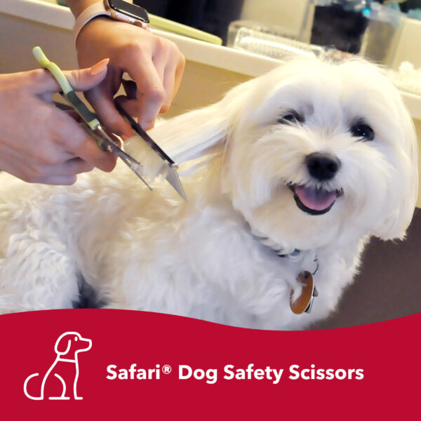 Safari  by Coastal  Dog Safety Scissors