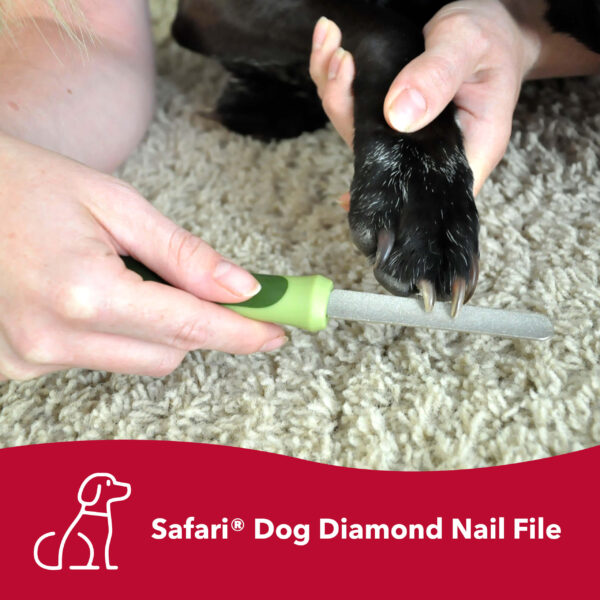 Safari  by Coastal  Dog Diamond Nail File