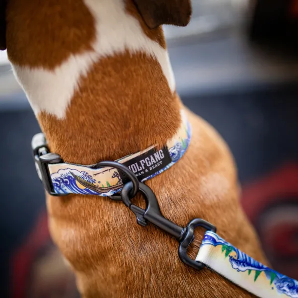 Wolfgang MountainWave Dog Collar