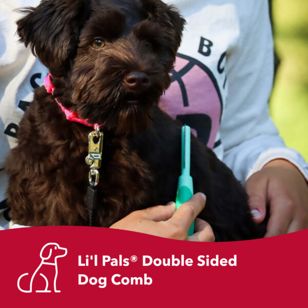 Lil Pals  Double-Sided Dog Comb