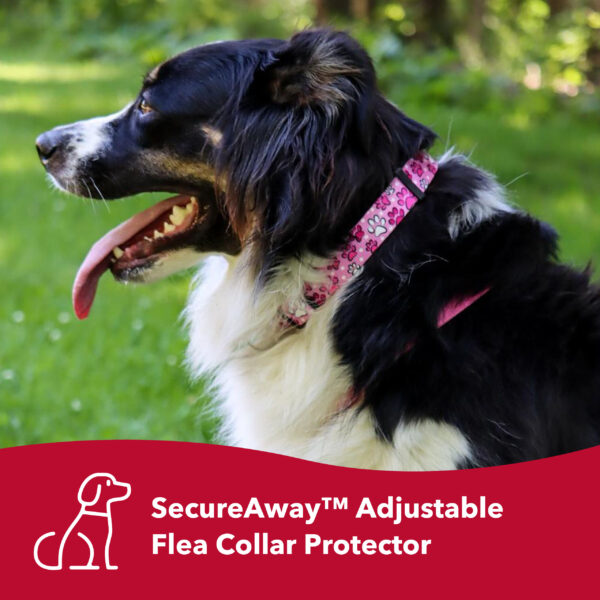 SecureAway Flea Collar Protectors