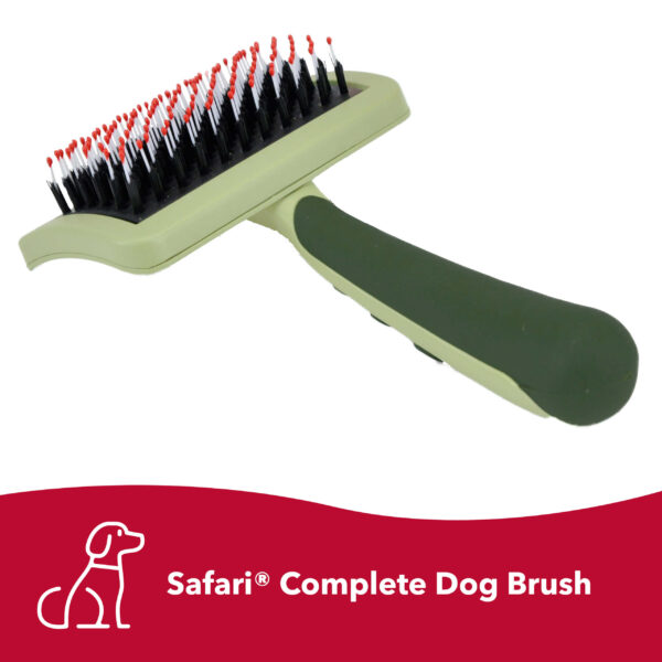 Safari  by Coastal  Complete Dog Brush