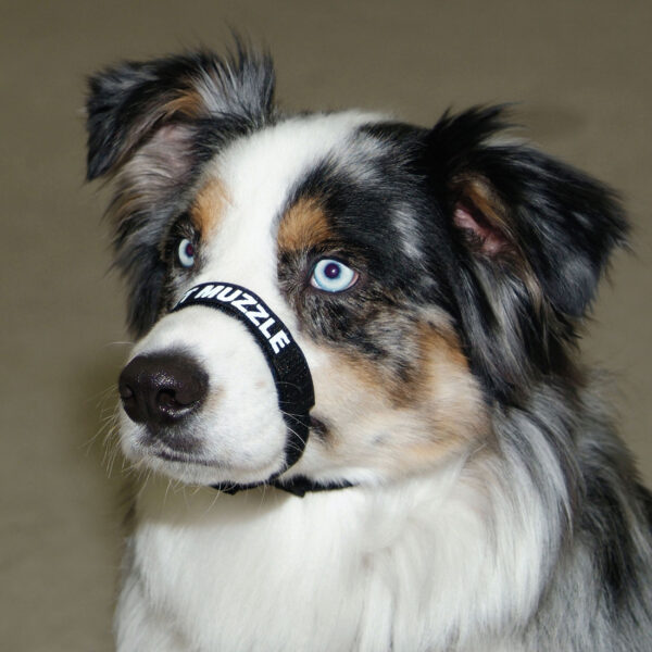 Adjustable Comfort Muzzle  for Dogs