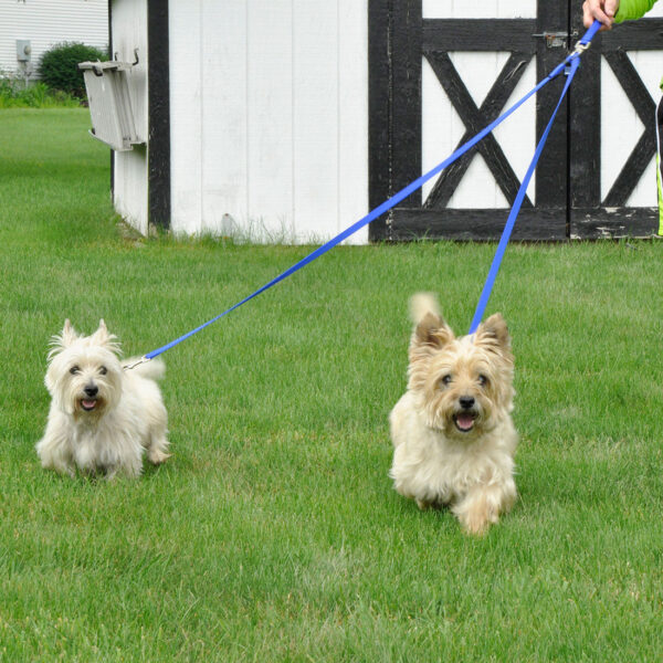 2 Dog Walker Tangle-Free Adjustable Leash