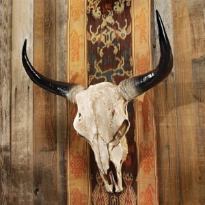 Design Toscano JQ2317 25 Inch Long Horn Steer Wall Trophy