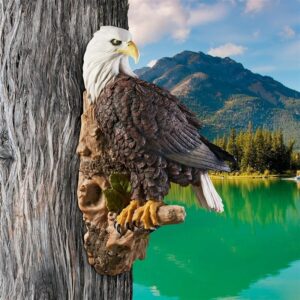 Design Toscano JQ5900 10 1/2 Inch American Bald Eagle Wall Sculpture