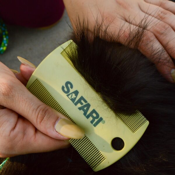 Safari  by Coastal  Double-Sided Cat Flea Comb