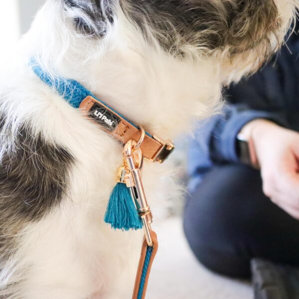 Lil Pals  Woven Leash with Tassel