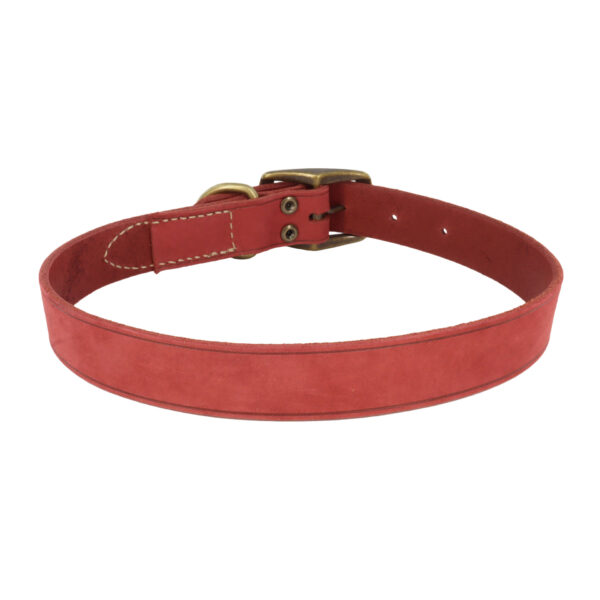Circle T  Rustic Leather Town Dog Collar