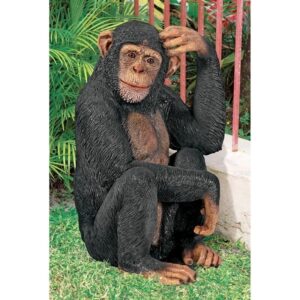 Design Toscano NE110026 18 1/2 Inch Chauncey the Confused Chimp Statue