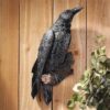 Design Toscano NG34872 7 1/2 Inch Ravens Perch Plaque