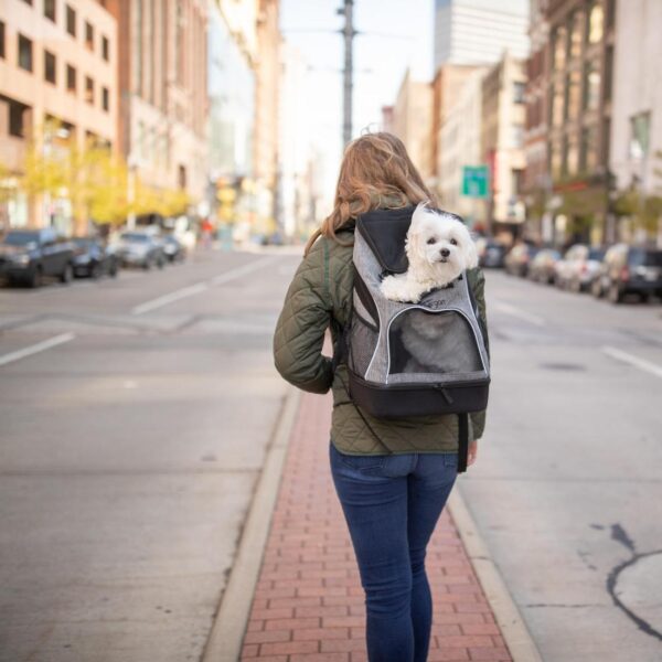 Bergan  Backpack Pet Carrier