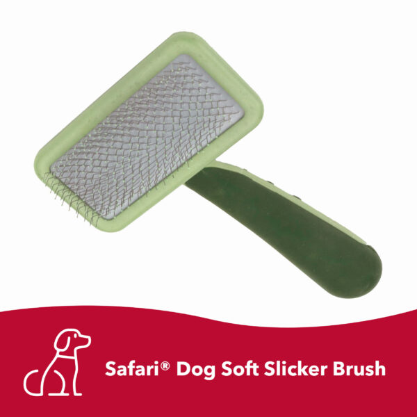 Safari  by Coastal  Dog Soft Slicker Brush