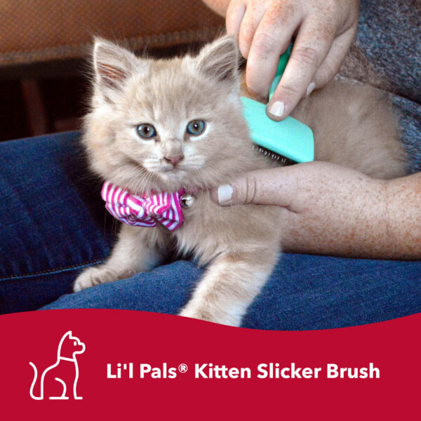 Lil Pals  Kitten Slicker Brush with Coated Tips