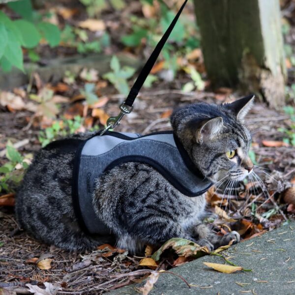 Adjustable Cat Wrap Harness with 6 Leash