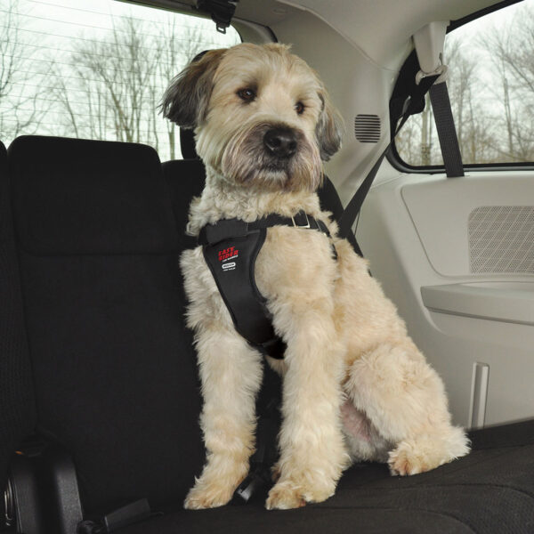 Easy Rider  Adjustable Dog Car Harness