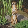 Design Toscano QL57526 Meerkat Generations Garden Statue