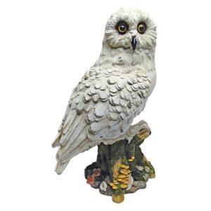 Design Toscano QM12509 7 Inch Mystical Owl Statue - White