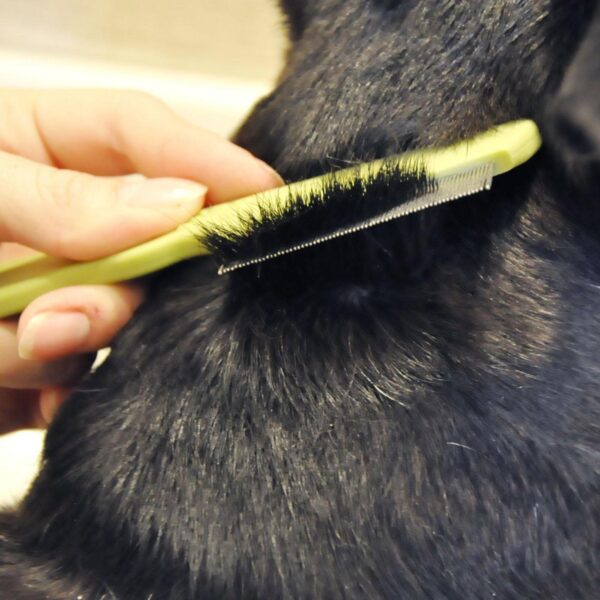 Safari  by Coastal  Dog Flea Comb with Plastic Handle