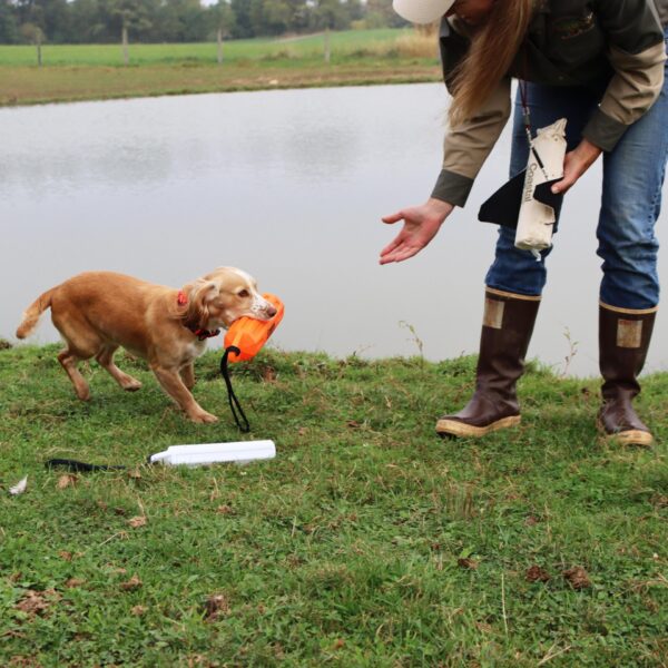 Water & Woods Vinyl Dog Training Dummies
