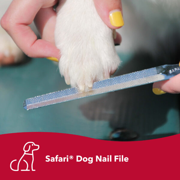 Safari  by Coastal  Dog Nail File