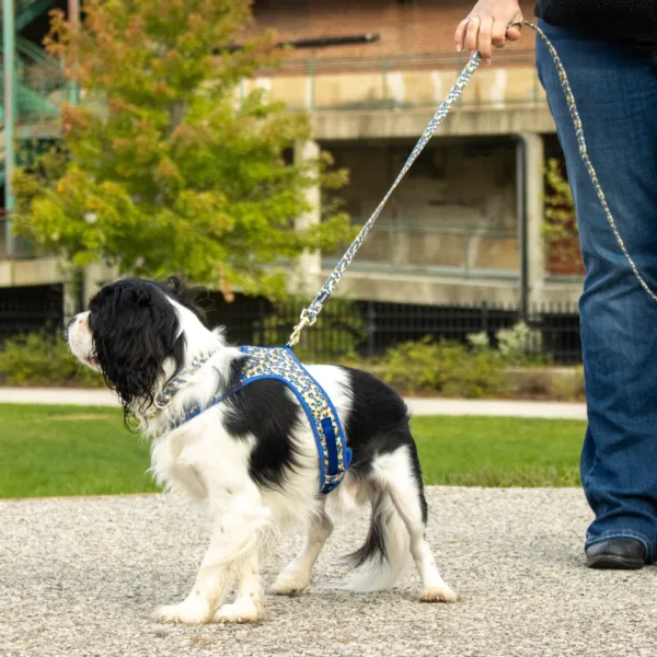 Accent Metallic Adjustable Dog Harness