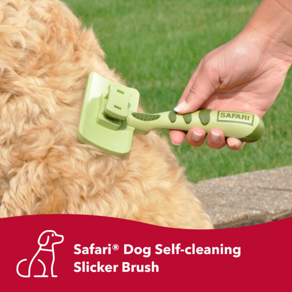 Safari  by Coastal  Dog Self-Cleaning Slicker Brush