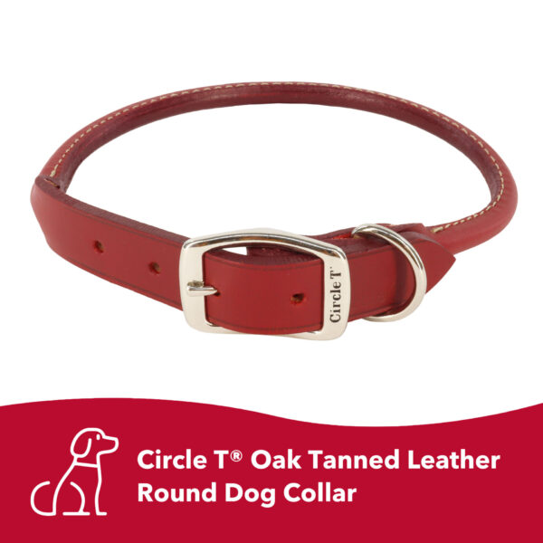 Circle T  Oak Tanned Leather Round Dog Collar