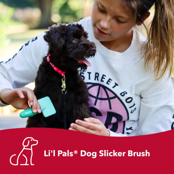 Lil Pals  Dog Slicker Brush with Coated Tips
