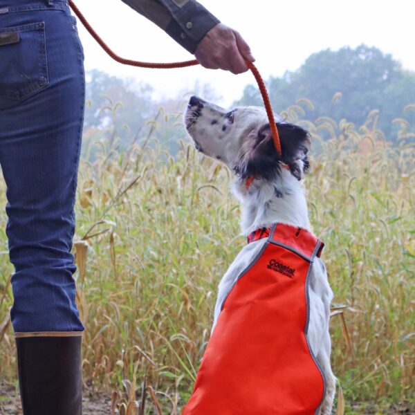 Water & Woods Reflective Dog Safety Vest