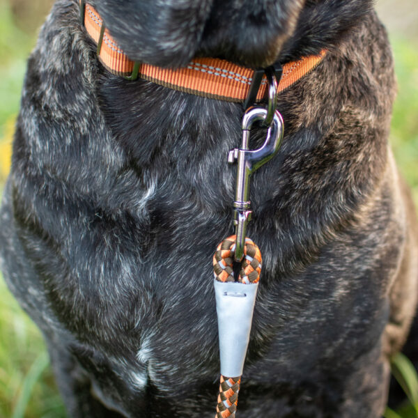K9 Explorer  Reflective Braided Rope Snap Dog Leash