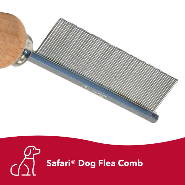 Safari  by Coastal  Dog Flea Combs with Wooden Handle